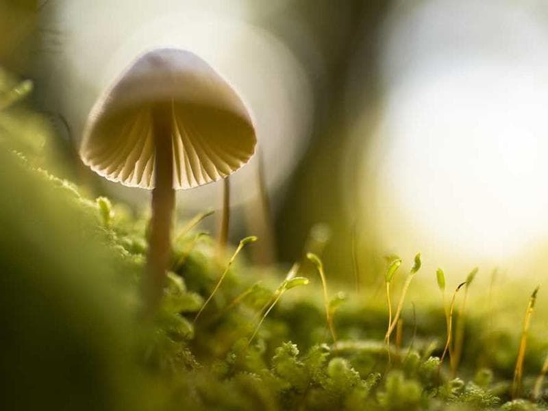 Artist performing on stage